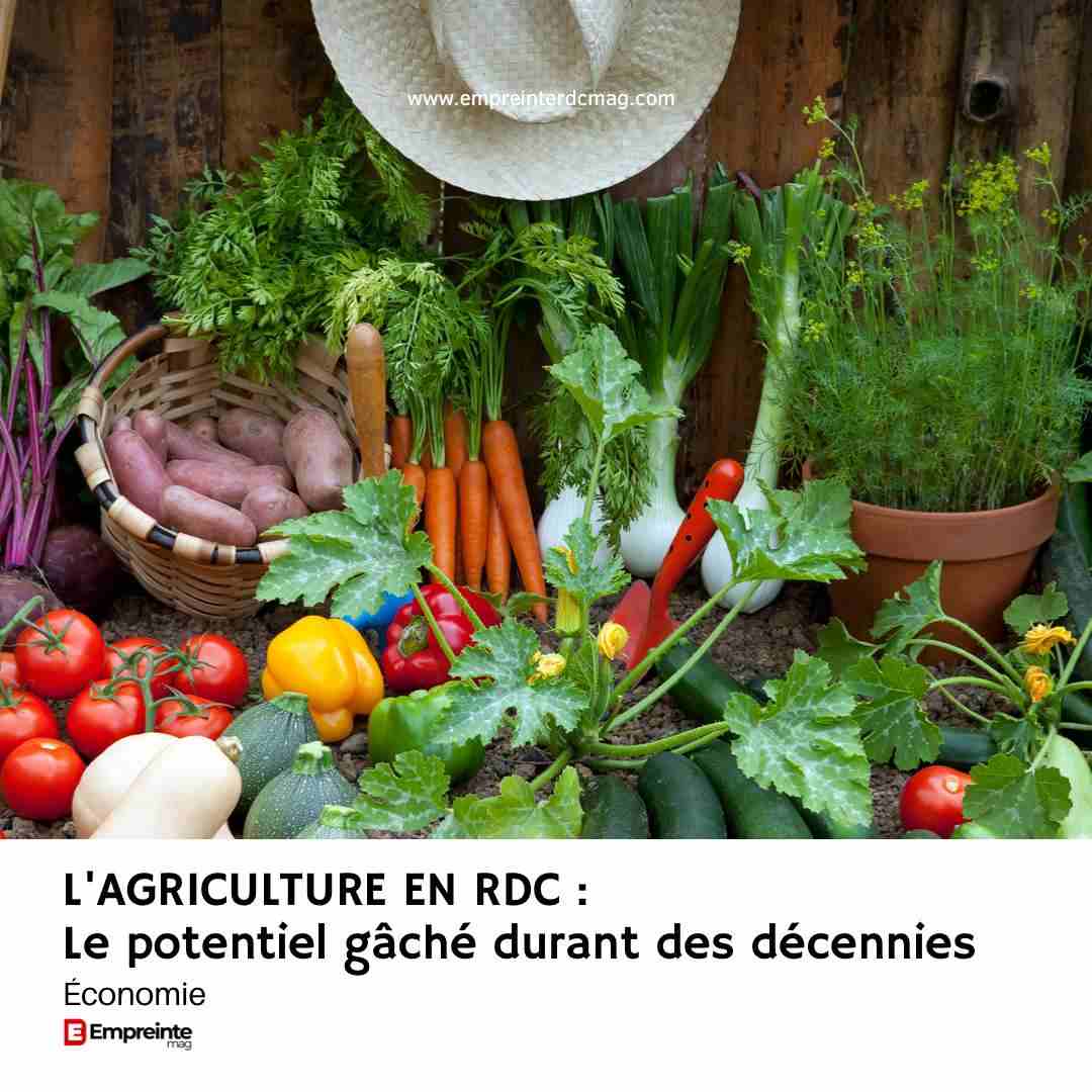 L’AGRICULTURE EN RDC :Le potentiel gâché durant des décennies ...