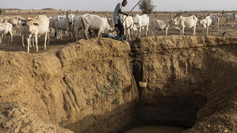 Sénégal : Lancement d’un chantier national pour l’accès à l’eau potable