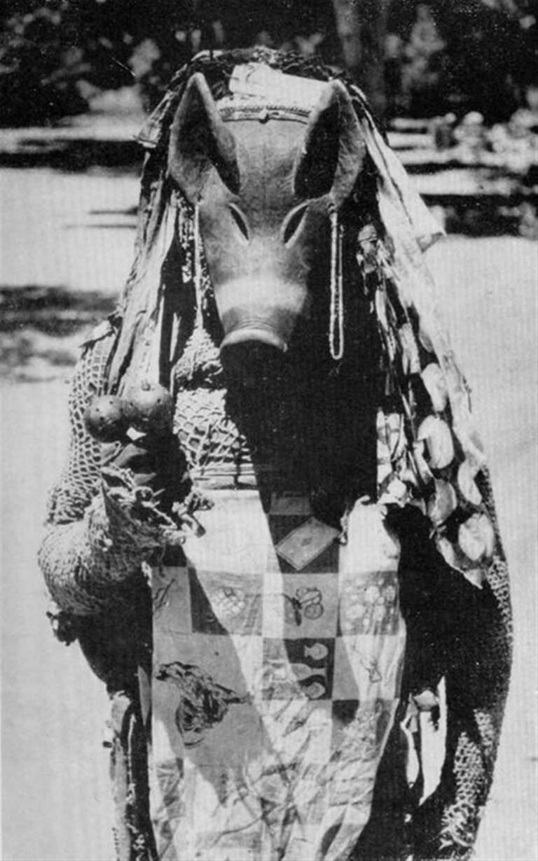 Le Masque Ngulu chez le peuple Chokwe